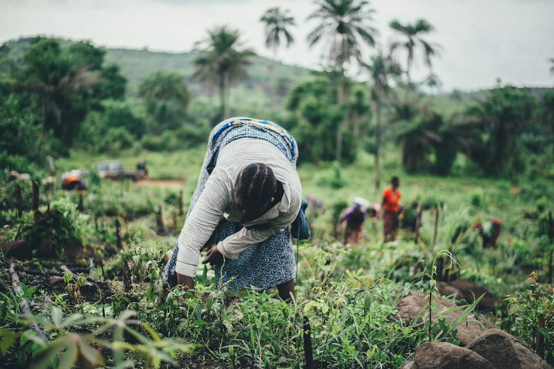 Rural Women and Food Security: Building Livelihoods in Africa